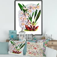 Дизайнарт' Бяла Реколта Орхидея ' традиционна рамка платно за стена арт принт