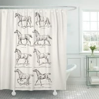 1800s винтидж конски походки коне тръгва кантер галоп баня декор за баня за баня душ завеса