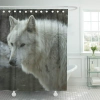 Albino White Wolf DrawString Snowy Digrory Wild Grouny Decor Decor Bath Bath Bath Bath
