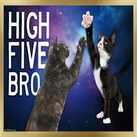 Кийт Кимбърлин-котенца-дай пет Бро в космоса плакат на стената, 22.375 34