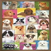 Кийт Кимбърлин-Плакат За Стена За Кученца, 14.725 22.375