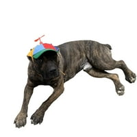Кучешки шапки със забавно витло, размер и въже двойна регулиране на шапки за домашни любимци за малки ， средни ， голямо куче и котка