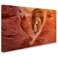 Изкуство 'сърце в камък' платно изкуство от Майкъл Бланшет фотография