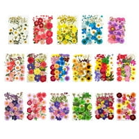 Enquiret изсушени цветя комплект декориране на реални цветни деколати за занаяти материали Цветно натиснат екземпляр Етикет Грим калъф Използване Тип 10