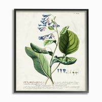 Ступел индустрии ботаническо растение илюстрация сини цветя реколта дизайн рамкирани стена изкуство от неизвестен