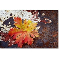 Търговска марка изобразително изкуство Есенна ръжда платно изкуство от Филип Сент-Лоди