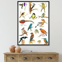 Витални Цветни Птици Планкард Рамка Живопис Платно Изкуство Печат