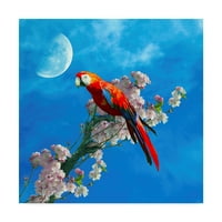 Изобразително изкуство 'червен папагал' платно изкуство ата Алишахи