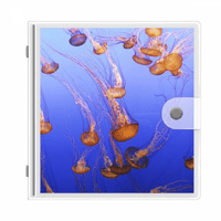 Океанска Медуза Наука Природа Снимка фотоалбум портфейл Сватба семейство 4х6
