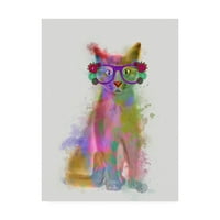 Търговска марка изобразително изкуство 'котка дъга пръски 5' платно изкуство от фаб фънки