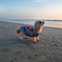 Енергичен живот Полиестер Омар куче тениска, сиво, ХХС