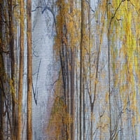 Art DesignArt „Жълта сутрин в горски панорама“ пейзажен завеса единичен панел в. Широко инча високо - панел