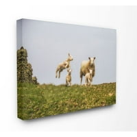 Ступел индустрии бебе овце семейство ферма животните пейзаж снимка платно стена изкуство от селянин Джим