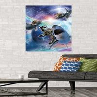 Джеймс Букър-Плакат На Стената На Галакси Котки Акули, 22.375 34